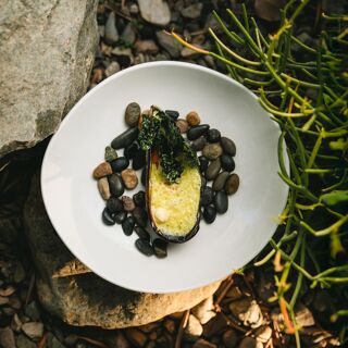 Olivea Farm to Table - Ensenada - 1