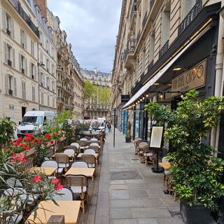Via del Campo - 5