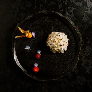 Satori - Birmingham - 11