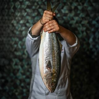 Cooking Almadraba - 2