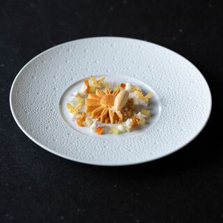 NOVO New Dining - Maastricht - 7