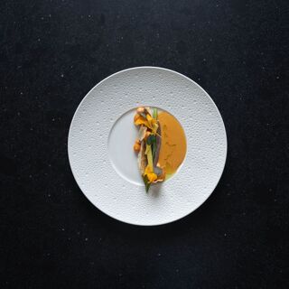 NOVO New Dining - 11