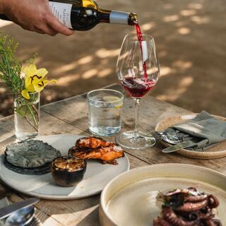 Primitivo - Valle de Guadalupe - 15