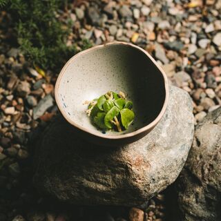 Olivea Farm to Table - Ensenada - 7