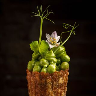 Brugarol Barcelona - 7