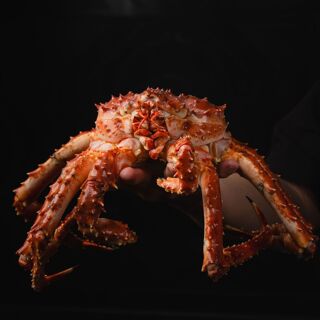 Coco Dining - 1