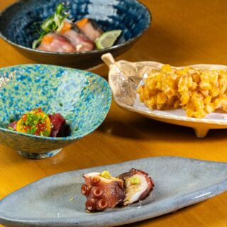 Shin Zushi - 6