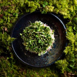 RAU nature-based cuisine - Großraming - 11