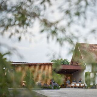Gasthaus Csencsits - Kohfidisch - 1