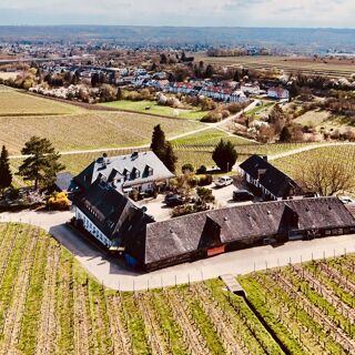 Restaurant Baiken by Schröer - Eltville am Rhein - 1