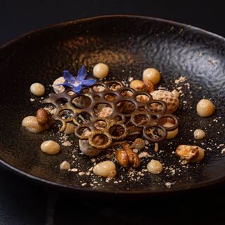 Xanglot - Valencia - 4