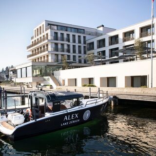 Alex - 6