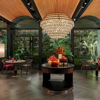 Quenino - Singapore - 2