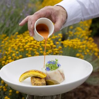 Les Jardins Sauvages - La Grée des Landes - 10