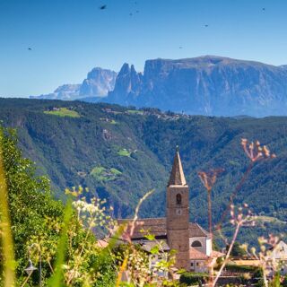 Antica Locanda al Cervo - Landgasthof zum Hirschen - 1