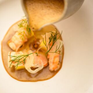 Allium at Askham Hall - 29