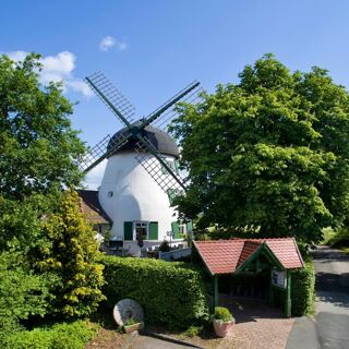 Die Windmühle - 1