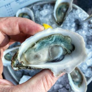 Hog Island Oyster Co. - 6