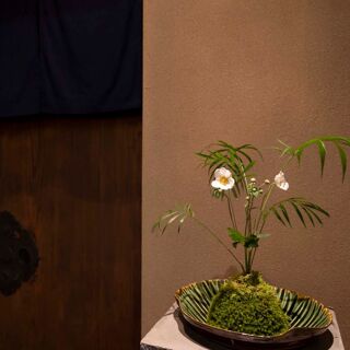 DEN KUSHI FLORI - Tokyo - 4