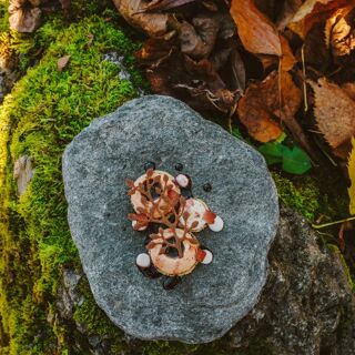 Agriturismo Ferdy - 11