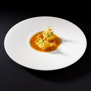 Jellyfish - 1