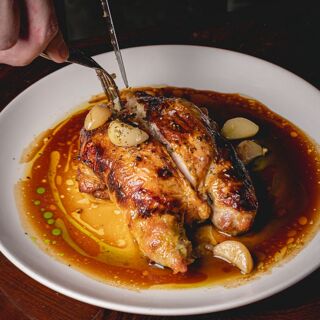 The Parakeet - London - 1