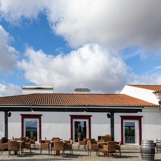 Legacy Winery - Estremoz - 1