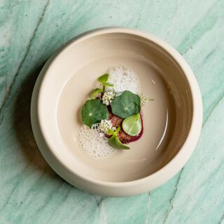 The Catbird Seat - 0