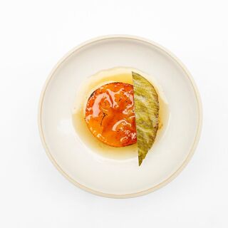 Datil - Paris - 5