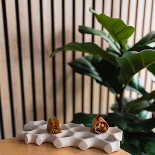 Almo de Juan Guillamón - Murcia - 13