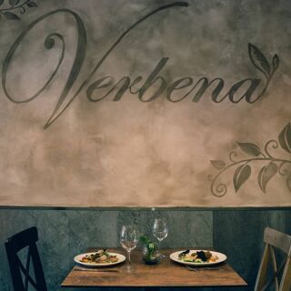 Verbena - 14