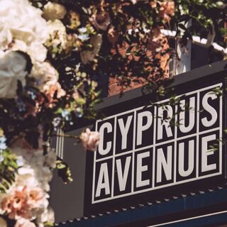 Cyprus Avenue - Belfast - 4