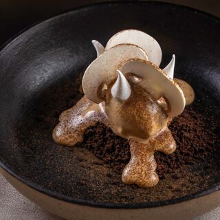 Oseille - 7