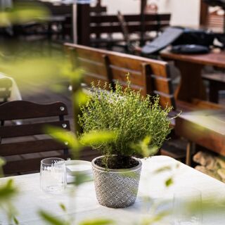Landgasthaus Essl - Rossatz - 2