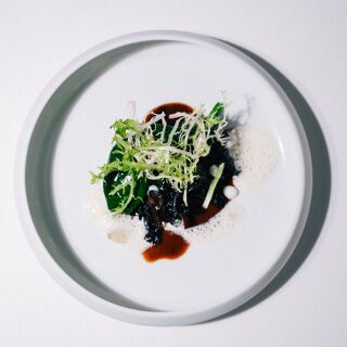 Esperança Verde - Braga - 11