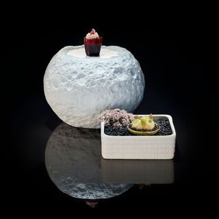 Il Gallo d'Oro - 13