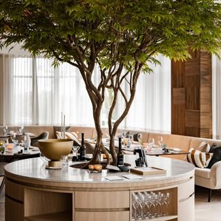 Noble Gastro House - 0