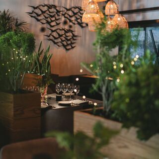 Olivea Farm to Table - Ensenada - 10