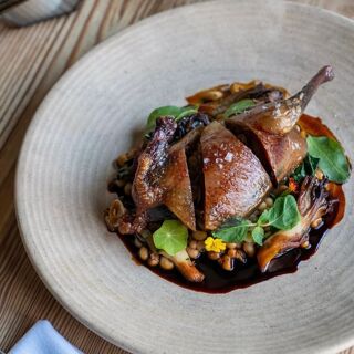 The Deer and the Dove - 14