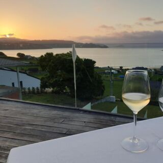 Nito - Viveiro - 5