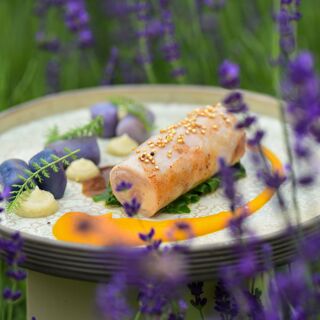 Dveri Pax - Jarenina - 3