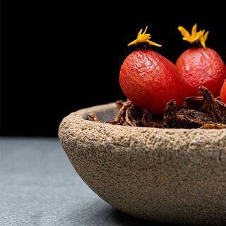 Gallery by Chele - 7