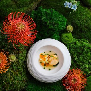 Les Morilles - Beijing - 5