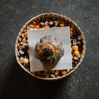 Criollo - Oaxaca - 0