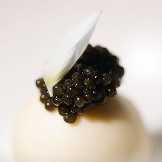 Gastro by Elemento - 2