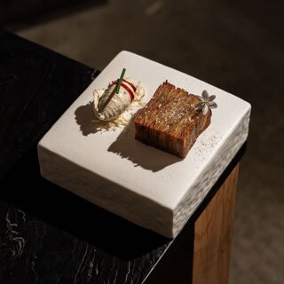 Fronda Pasaje - 13