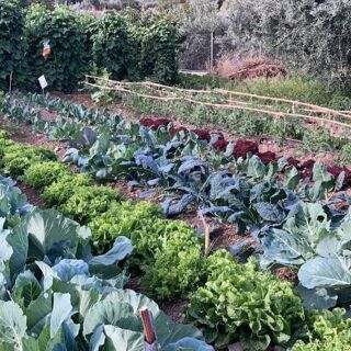 La Cantina de Diego - 4