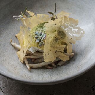 Hertog Jan at Botanic - 10