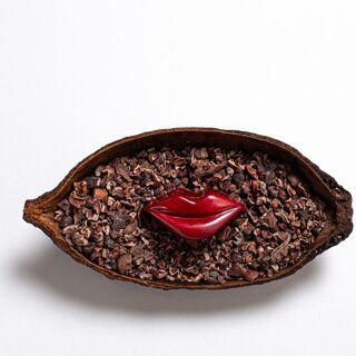 Olive Tree - 6
