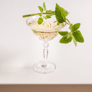 Humus x Hortense - 5